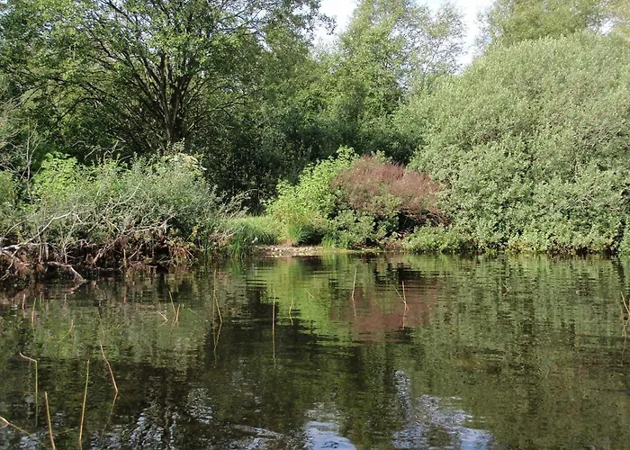 4 Person In Дом отдыха Ansager