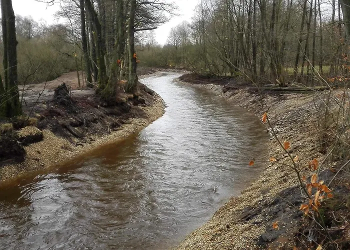 4 Person In Дом отдыха *
